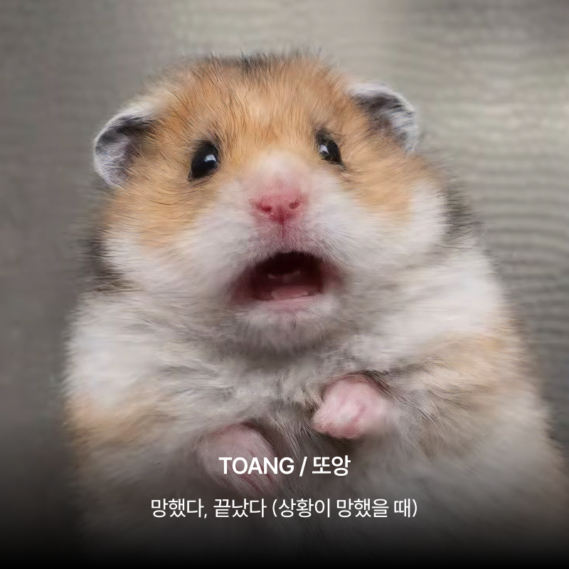 호치민 Z새대 표현, 몇 개나 알고 있어요? 이미지 7