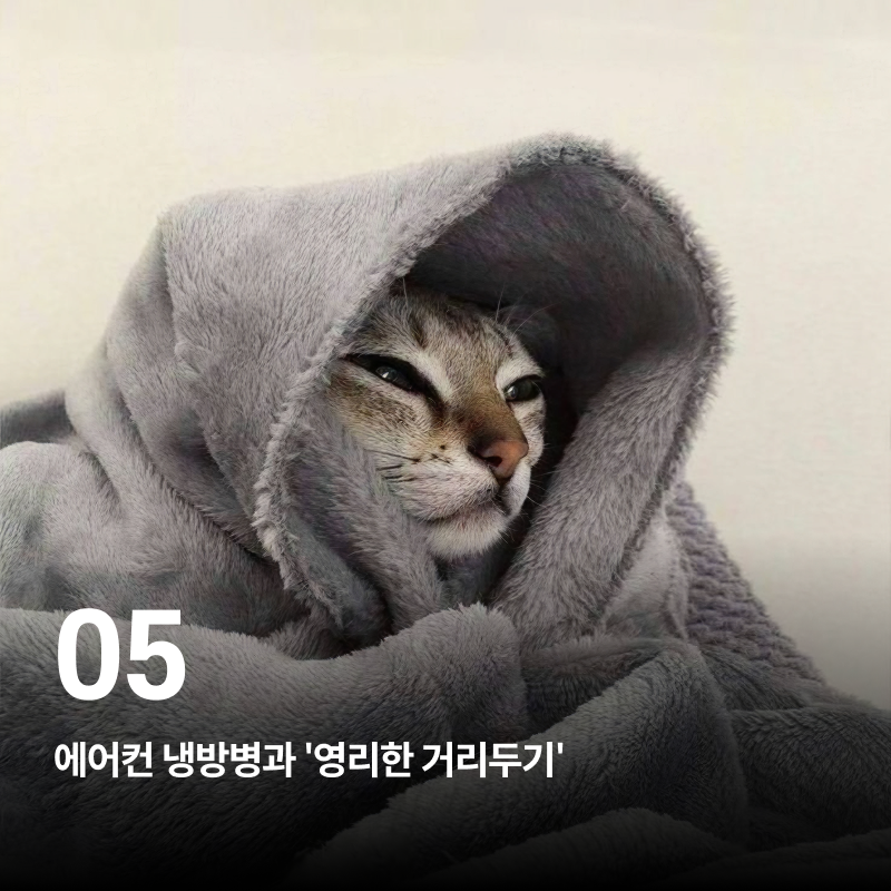 호치민 생활에서 지치지 않고 롱런하는 8가지 스마트 루틴 이미지 6