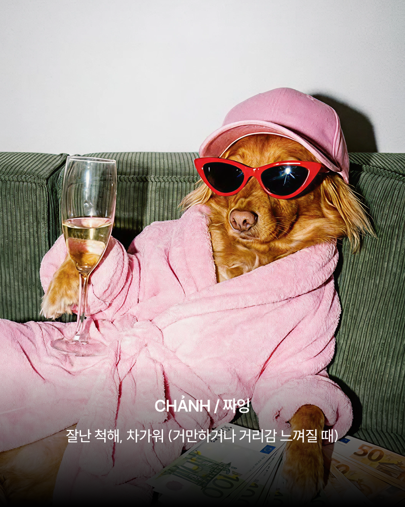 아는 척하기 좋은 호치민 Z세대 표현 2탄 이미지 7
