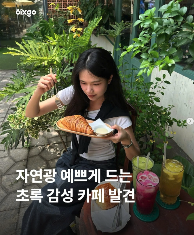 싱그러운 초록 감성 가득한 2군 숨은 맛집, ‘메이 커피숍(May Coffee)’ 솔직 후기 브런치 데이트 코스 🌿✨  이미지 3