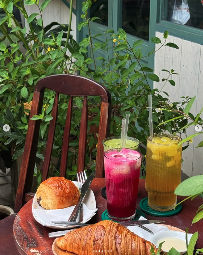 싱그러운 초록 감성 가득한 2군 숨은 맛집, ‘메이 커피 (May Coffee)’ 솔직 후기 브런치 데이트 코스 🌿✨ 