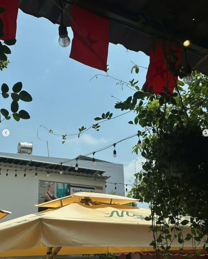 싱그러운 초록 감성 가득한 2군 숨은 맛집, ‘메이 커피숍(May Coffee)’ 솔직 후기 브런치 데이트 코스 🌿✨  이미지 6