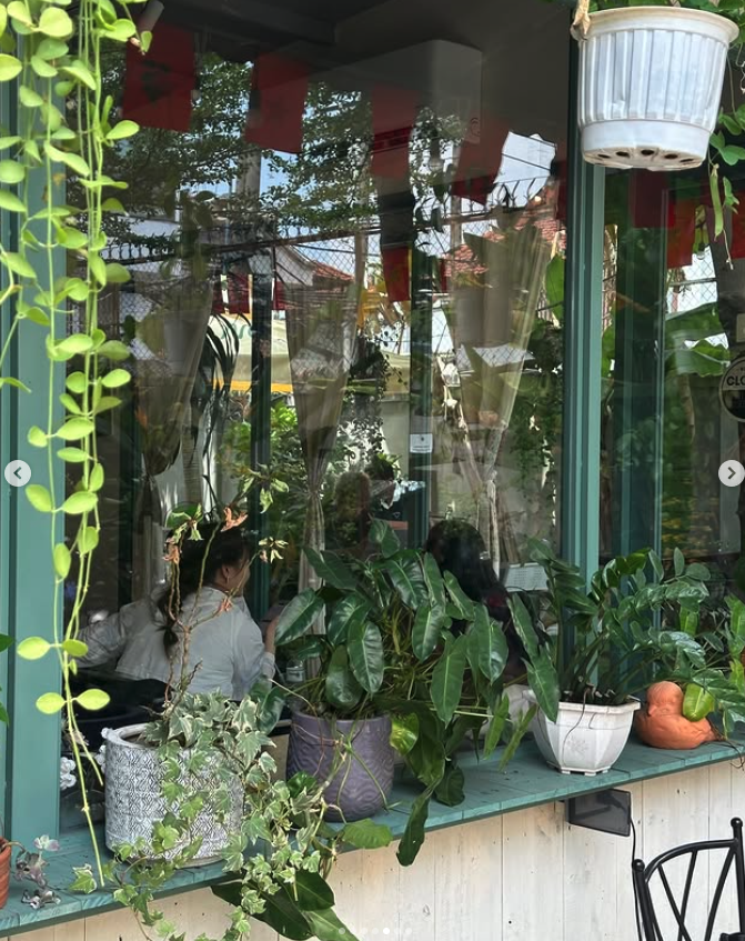 싱그러운 초록 감성 가득한 2군 숨은 맛집, ‘메이 커피숍(May Coffee)’ 솔직 후기 브런치 데이트 코스 🌿✨  이미지 7
